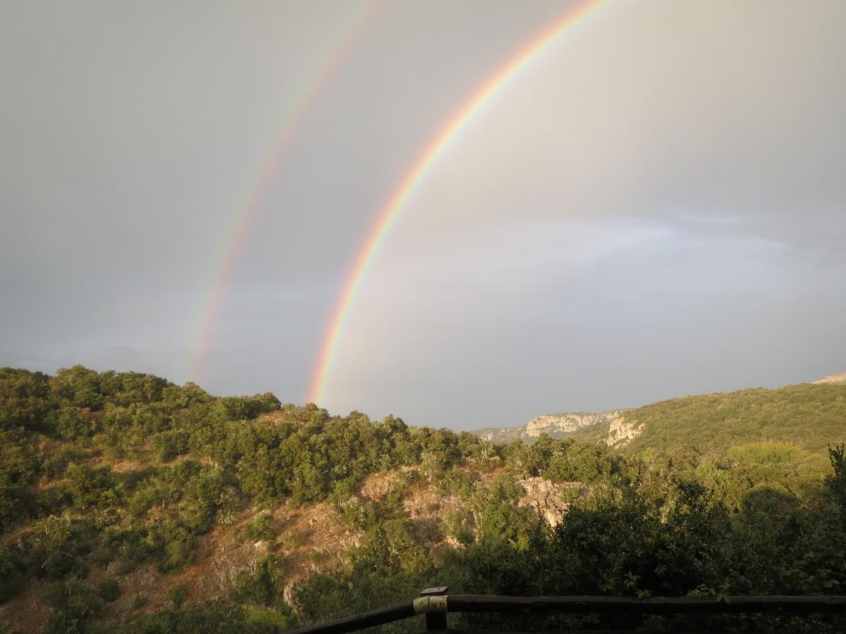 Les Hauts d'Issensac Causse-de-la-Selle Extérieur photo