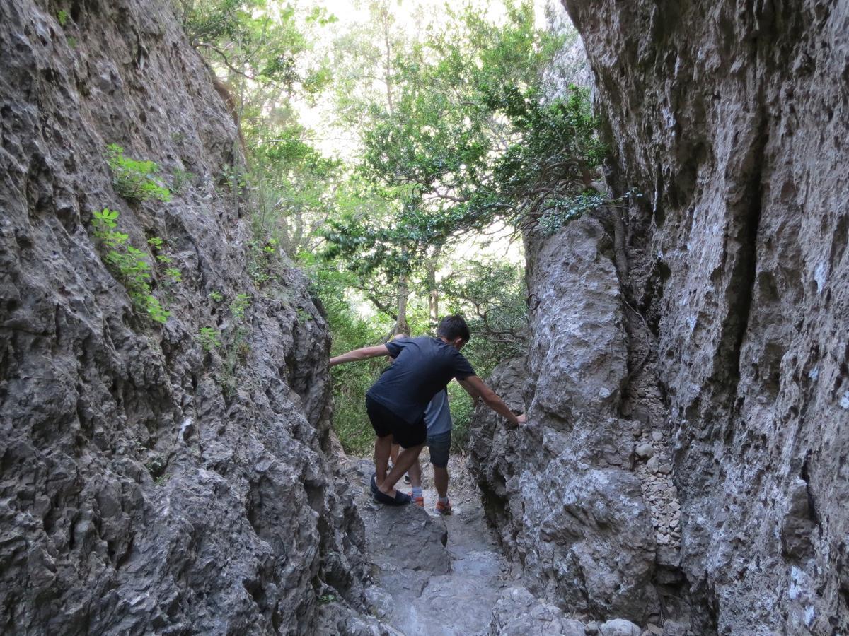 Les Hauts d'Issensac Causse-de-la-Selle Extérieur photo