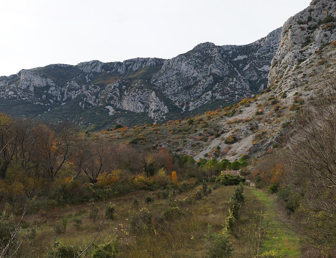 Les Hauts d'Issensac Causse-de-la-Selle Extérieur photo